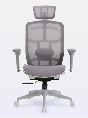 DT3 Diana